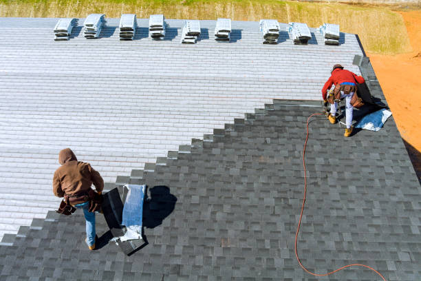 Best Local Roofing Companies  in Parkston, SD