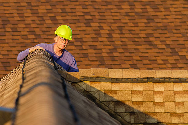 Best Best Roofing Contractors  in Parkston, SD